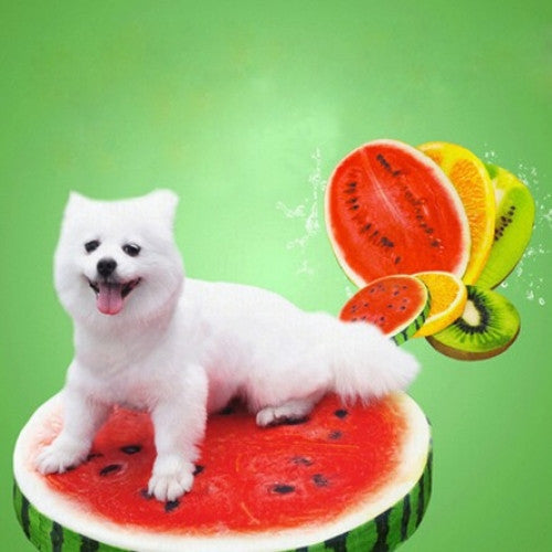 Creative Cute Watermelon Fruit Plush Pet Nest Toys