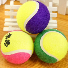 Load image into Gallery viewer, Cute Pet Tennis Balls Run Play Chew Toys