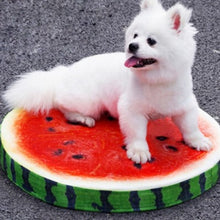 Load image into Gallery viewer, Creative Cute Watermelon Fruit Plush Pet Nest Toys