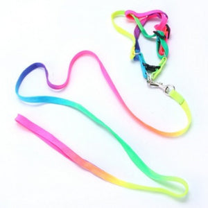 Small Pet Harness Nylon Collar