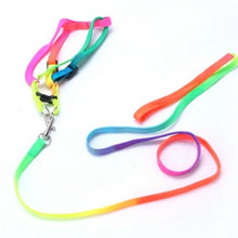 Load image into Gallery viewer, Small Pet Harness Nylon Collar