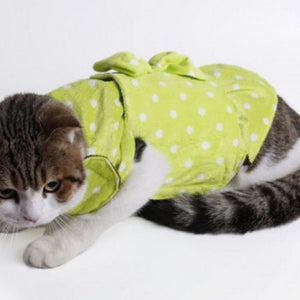 Cotton Knot Dot Pattern Warm Pet Clothes